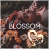 Blossom - Single