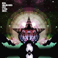 Black Star Dancing-Noel Gallagher's High Flying Birds
