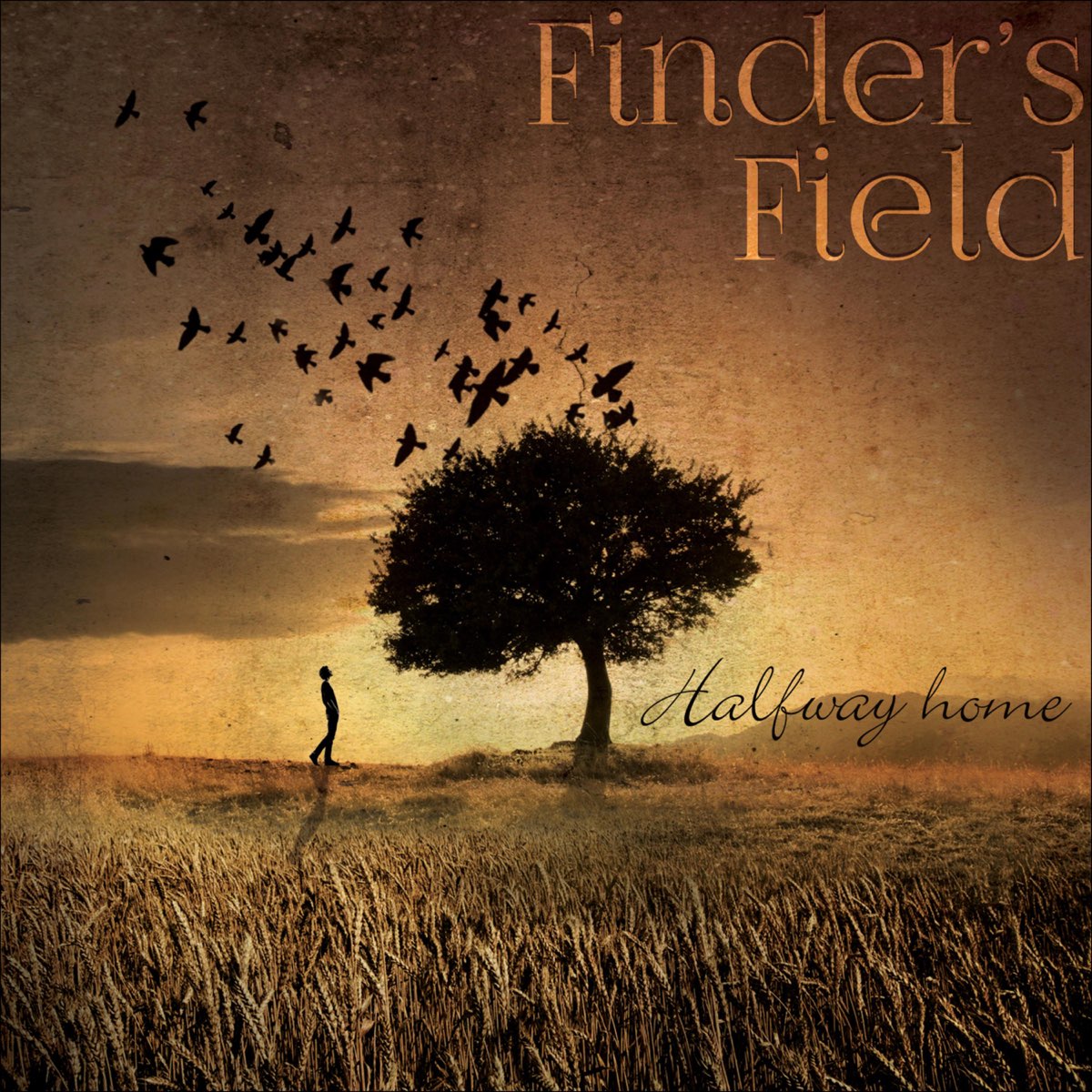 Field music