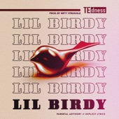 Lil Birdy artwork