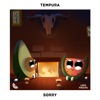 Sorry by Tempura iTunes Track 1