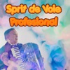 Profesional - Haida, Haida Nasule
