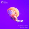 Surrounded by Nature - Single