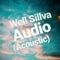 Audio - Well Sillva lyrics