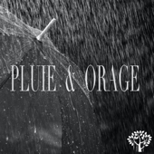 Pluie & orage - Pluie & Orage