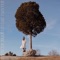 At High Tide - Spencer Zahn lyrics