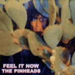The Pinheads - Feel It Now