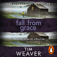 Tim Weaver - Fall From Grace artwork