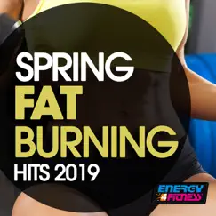 Spring Fat Burning Hits 2019 (15 Tracks Non-Stop Mixed Compilation for Fitness & Workout) by Various Artists album reviews, ratings, credits