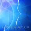 Liquid Mind XIII: Mindfulness - Liquid Mind