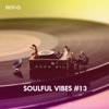 Soulful Vibes, Vol. 13