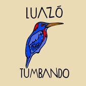 Tumbando artwork