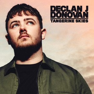 Declan J Donovan - Tangerine Skies - 排舞 编舞者