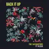 Back It Up (feat. Alika) - Single album lyrics, reviews, download
