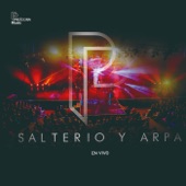 Salterio y Arpa (En Vivo) artwork
