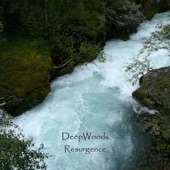 DeepWoods - Returning (Echo Delta Remix)