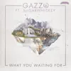 What You Waiting For (feat. SUGARWHISKEY) - Single album lyrics, reviews, download