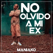 No Olvido a Mi Ex artwork