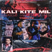 Kali Kite Mil artwork