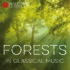 Forests in Classical Music, 2019