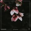 Awake - Single