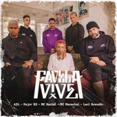 Favela Vive 5 (feat. MC Marechal & Leci Brandao) artwork