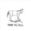 Tiny Horse - EP