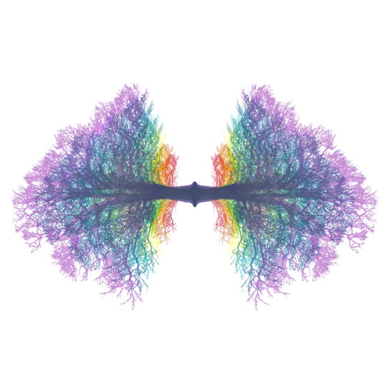 Cover artwork for Honest