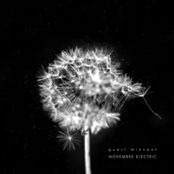 Quart Minvant - Novembre Elèctric