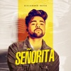 Señorita - Single, 2019