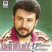 Hayatımın Sarkıları artwork