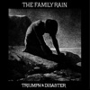 Triumph & Disaster - Single artwork