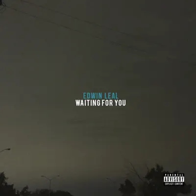 Waiting for You - Single - Edwin Leal