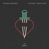 Without Your Love - Single