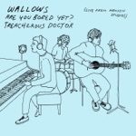 Wallows - Treacherous Doctor (Live from Henson Studios)