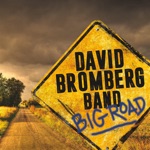 David Bromberg Band - Mary Jane