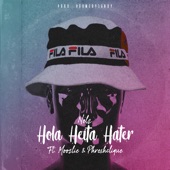 Hola Heita Hater (feat. Moozlie & Phreshclique) artwork