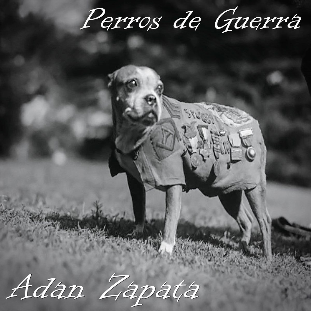 Perros de Guerra - Single de Adán Zapata & Srath en Apple Music