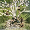 Cultivo