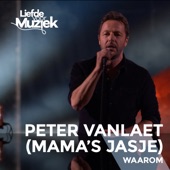 Waarom (uit Liefde Voor Muziek) [feat. Mama's Jasje] artwork