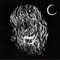 Half Animal, Half Insane - Wolf Eyes lyrics