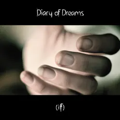 If (The Memento Ritual Project) - Diary Of Dreams