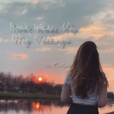 Don't Wake Up My Feelings - Single - Evelyn