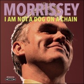 Morrissey - Once I Saw the River Clean