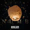 Numb - Single album lyrics, reviews, download