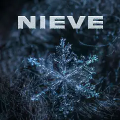 NIEVE (feat. HXRDSIGHT) Song Lyrics
