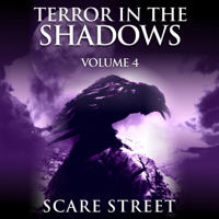 Scare Street, Ron Ripley, A. I. Nasser, Sara Clancy, David Longhorn, Sharon M. White, Julia Grace, Arwa Hezzah & Anna Sinjin - Terror in the Shadows Vol. 4: Supernatural Horror Short Stories & Creepy Pasta Anthology (Unabridged) artwork