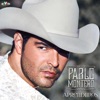 Pablo Montero - Aprendimos