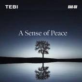 A Sense of Peace - EP artwork