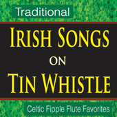 Traditional Irish Songs on Tin Whistle (Celtic Fipple Flute Favorites) - John Story